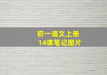 初一语文上册14课笔记图片