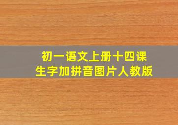 初一语文上册十四课生字加拼音图片人教版