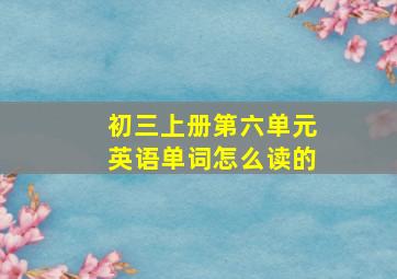 初三上册第六单元英语单词怎么读的