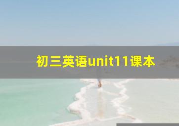 初三英语unit11课本