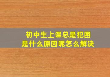 初中生上课总是犯困是什么原因呢怎么解决