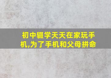 初中辍学天天在家玩手机,为了手机和父母拼命