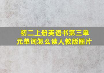 初二上册英语书第三单元单词怎么读人教版图片