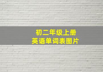 初二年级上册英语单词表图片