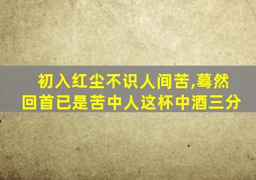 初入红尘不识人间苦,蓦然回首已是苦中人这杯中酒三分