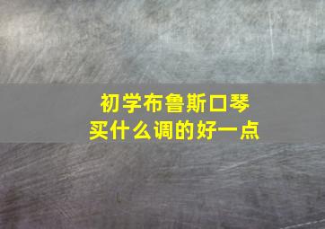 初学布鲁斯口琴买什么调的好一点