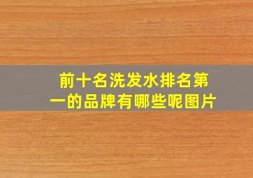 前十名洗发水排名第一的品牌有哪些呢图片