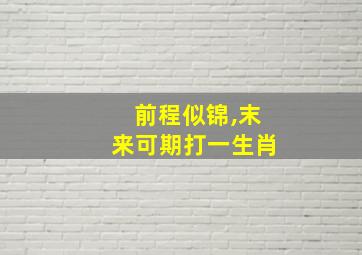 前程似锦,末来可期打一生肖