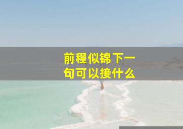 前程似锦下一句可以接什么