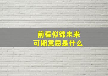 前程似锦未来可期意思是什么