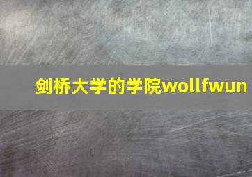 剑桥大学的学院wollfwun