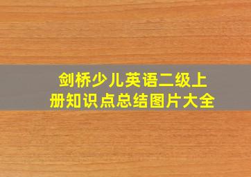 剑桥少儿英语二级上册知识点总结图片大全