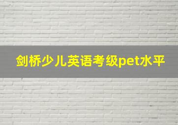 剑桥少儿英语考级pet水平