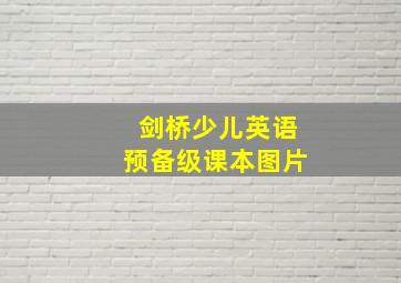 剑桥少儿英语预备级课本图片