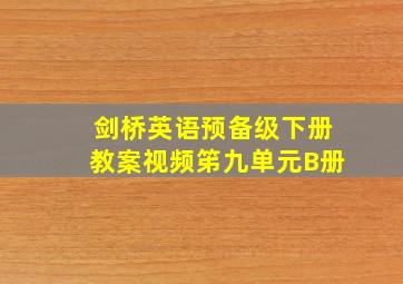 剑桥英语预备级下册教案视频笫九单元B册