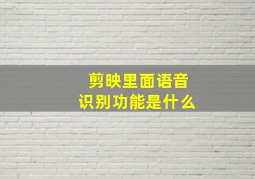 剪映里面语音识别功能是什么