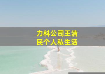 力科公司王清民个人私生活