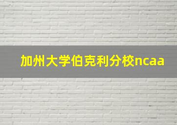 加州大学伯克利分校ncaa