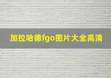 加拉哈德fgo图片大全高清