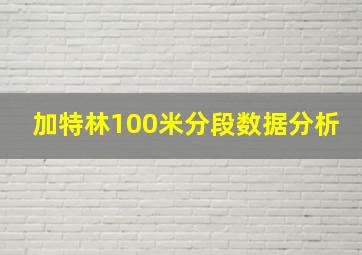 加特林100米分段数据分析