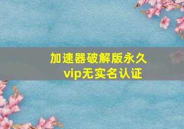 加速器破解版永久vip无实名认证