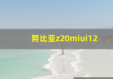 努比亚z20miui12