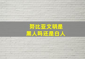 努比亚文明是黑人吗还是白人