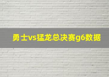 勇士vs猛龙总决赛g6数据