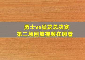 勇士vs猛龙总决赛第二场回放视频在哪看