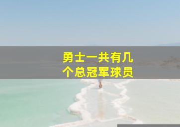 勇士一共有几个总冠军球员