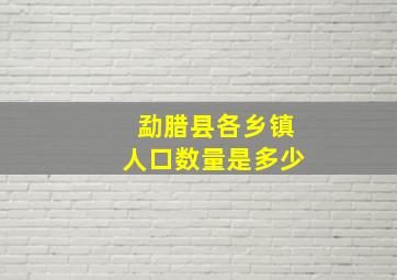 勐腊县各乡镇人口数量是多少