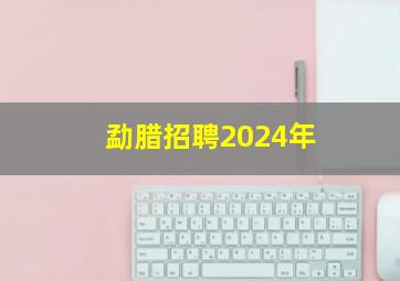 勐腊招聘2024年