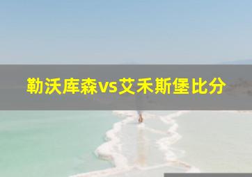 勒沃库森vs艾禾斯堡比分