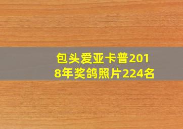 包头爱亚卡普2018年奖鸽照片224名