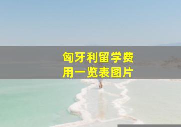 匈牙利留学费用一览表图片