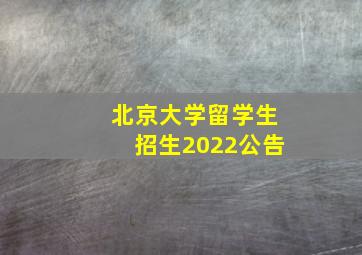 北京大学留学生招生2022公告