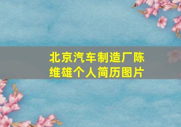 北京汽车制造厂陈维雄个人简历图片