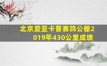 北京爱亚卡普赛鸽公棚2019年430公里成绩