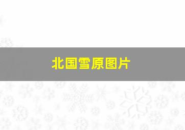 北国雪原图片