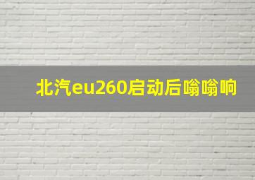 北汽eu260启动后嗡嗡响