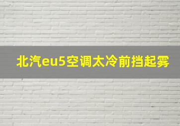 北汽eu5空调太冷前挡起雾