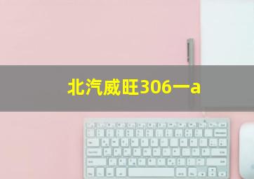 北汽威旺306一a