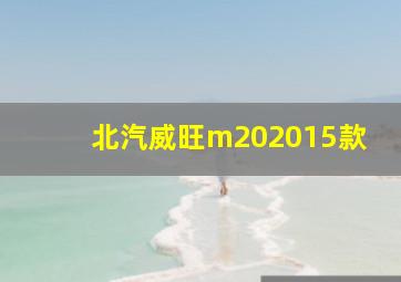 北汽威旺m202015款