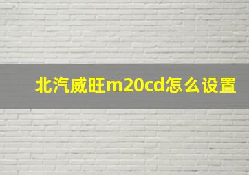 北汽威旺m20cd怎么设置