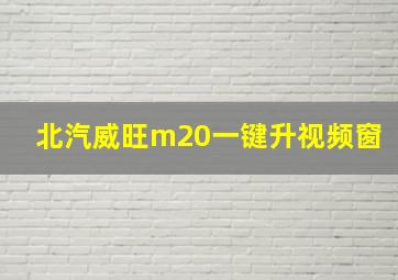 北汽威旺m20一键升视频窗