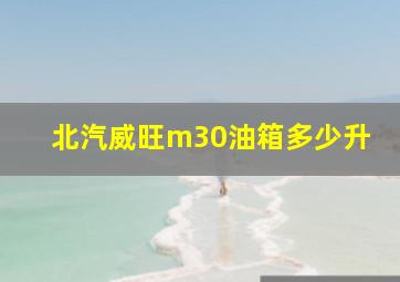 北汽威旺m30油箱多少升