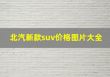 北汽新款suv价格图片大全