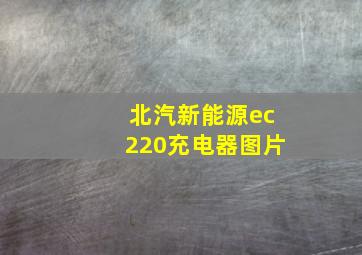 北汽新能源ec220充电器图片