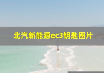 北汽新能源ec3钥匙图片