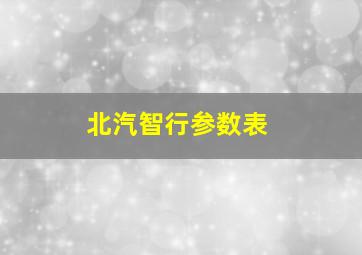 北汽智行参数表